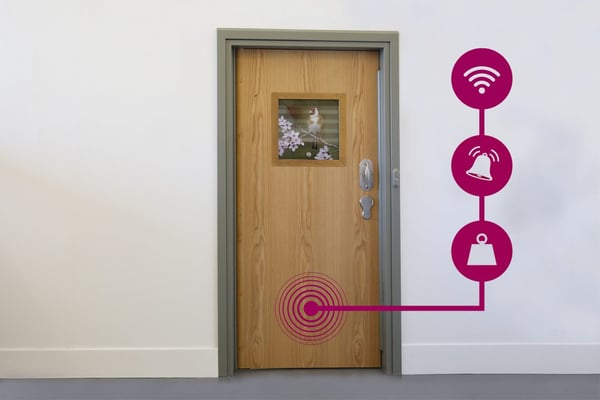 Training: Full-door ligature alarm