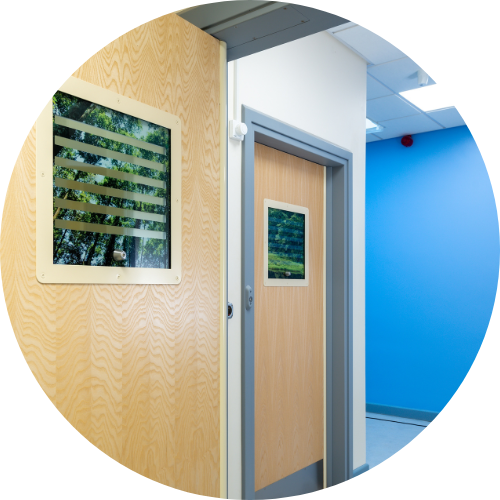 Mental Health Door with Vision Panel