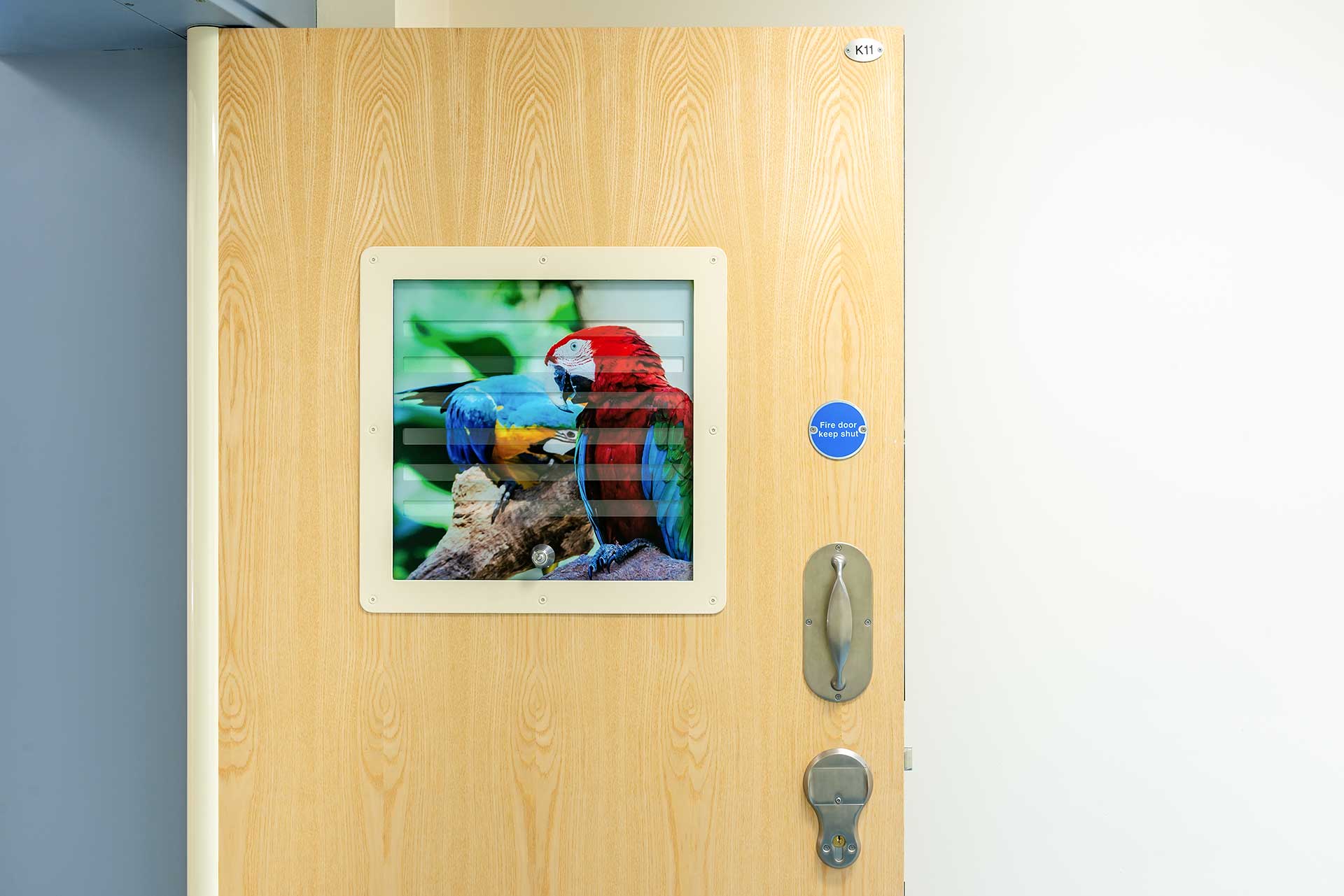 Mental Health Door With Vision Panel