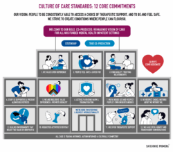 12 core commitments culture of care standards